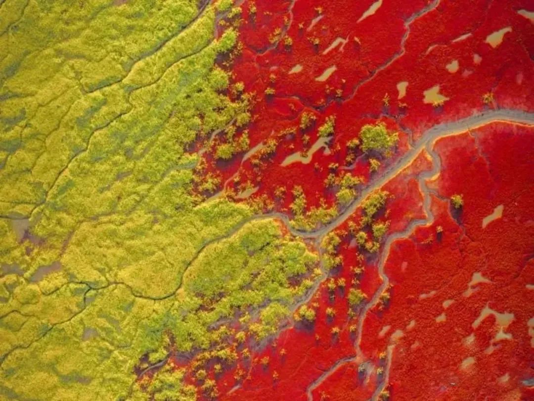 7-8月适合旅游的最佳地方最新,9月旅行地推荐国内最美的10个地方