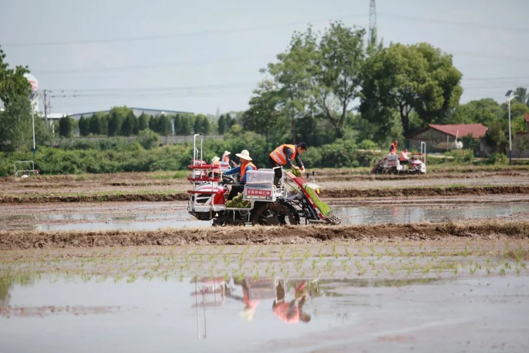 6月1日起湖北电价会调整吗,6月1日起河南省电价调整