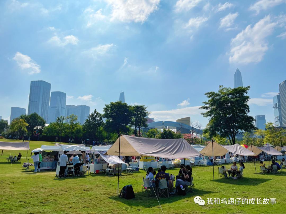 2019深圳莲花山簕杜鹃花展美不美,深圳莲花山一年一度的簕杜鹃花展