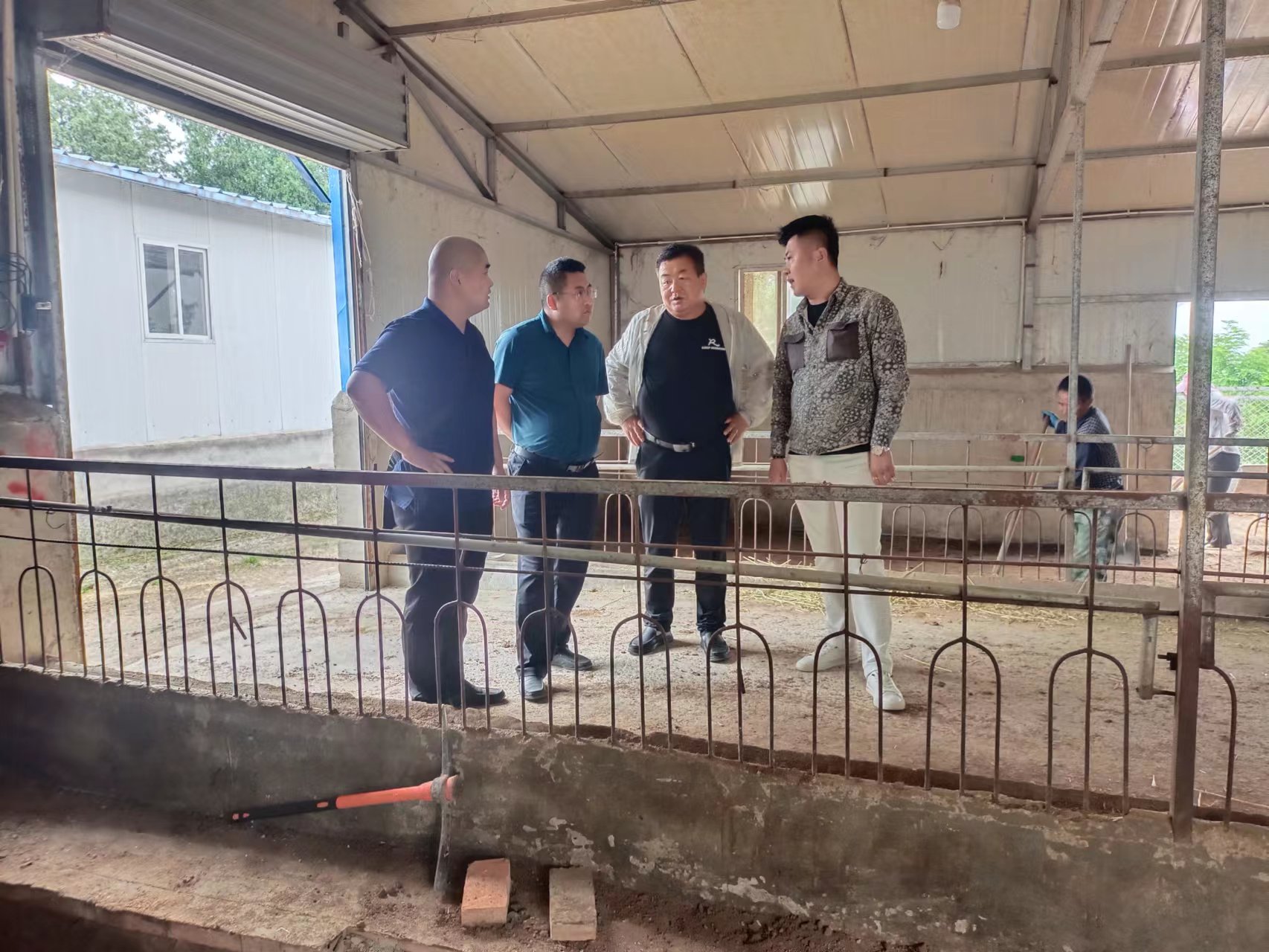 羊圈如何改建？看200斤种羊如何睡上塑料漏粪板上的