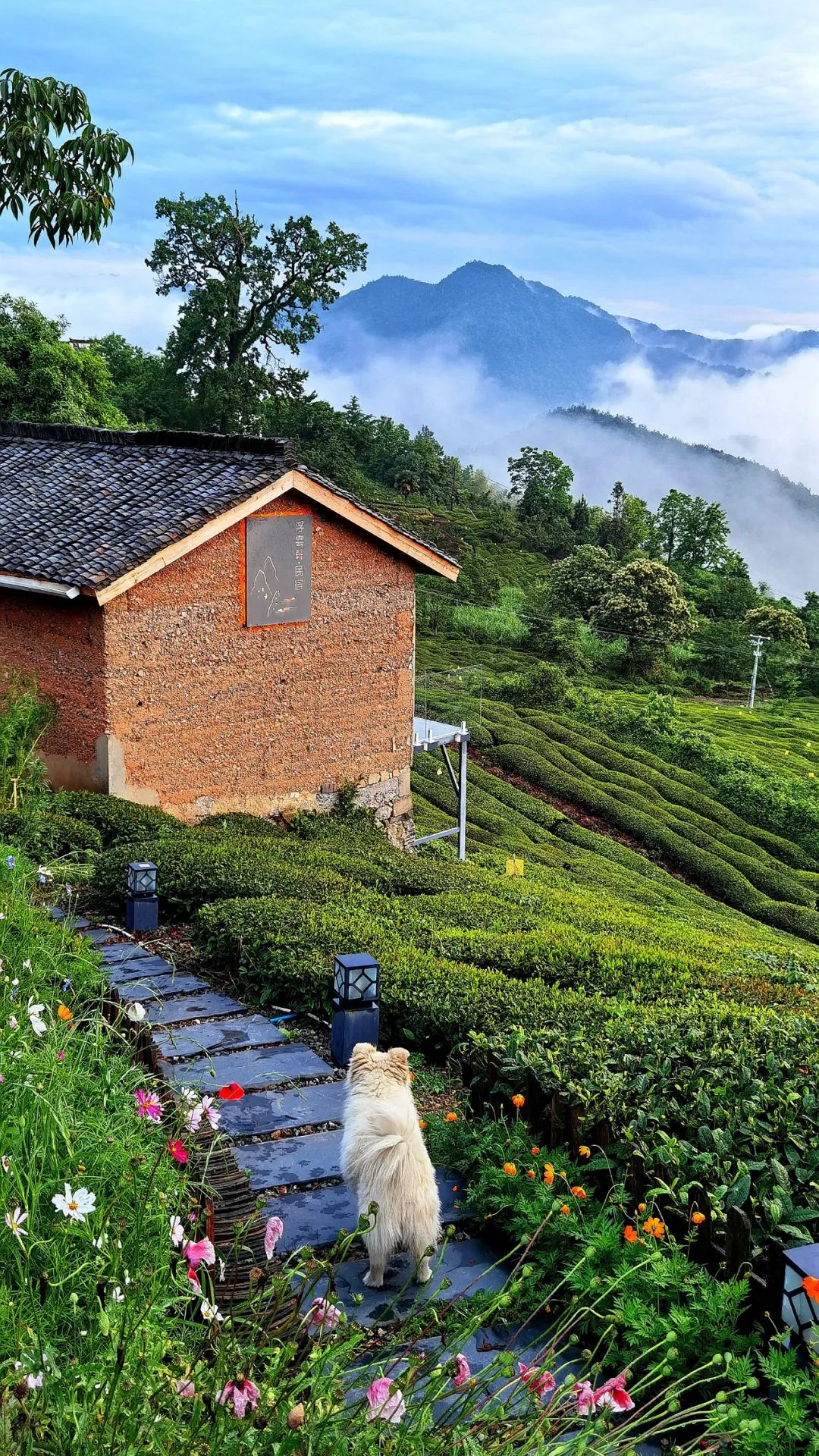 安徽黄山市旅游攻略推荐,黄山市夏季旅游线路攻略大全最新