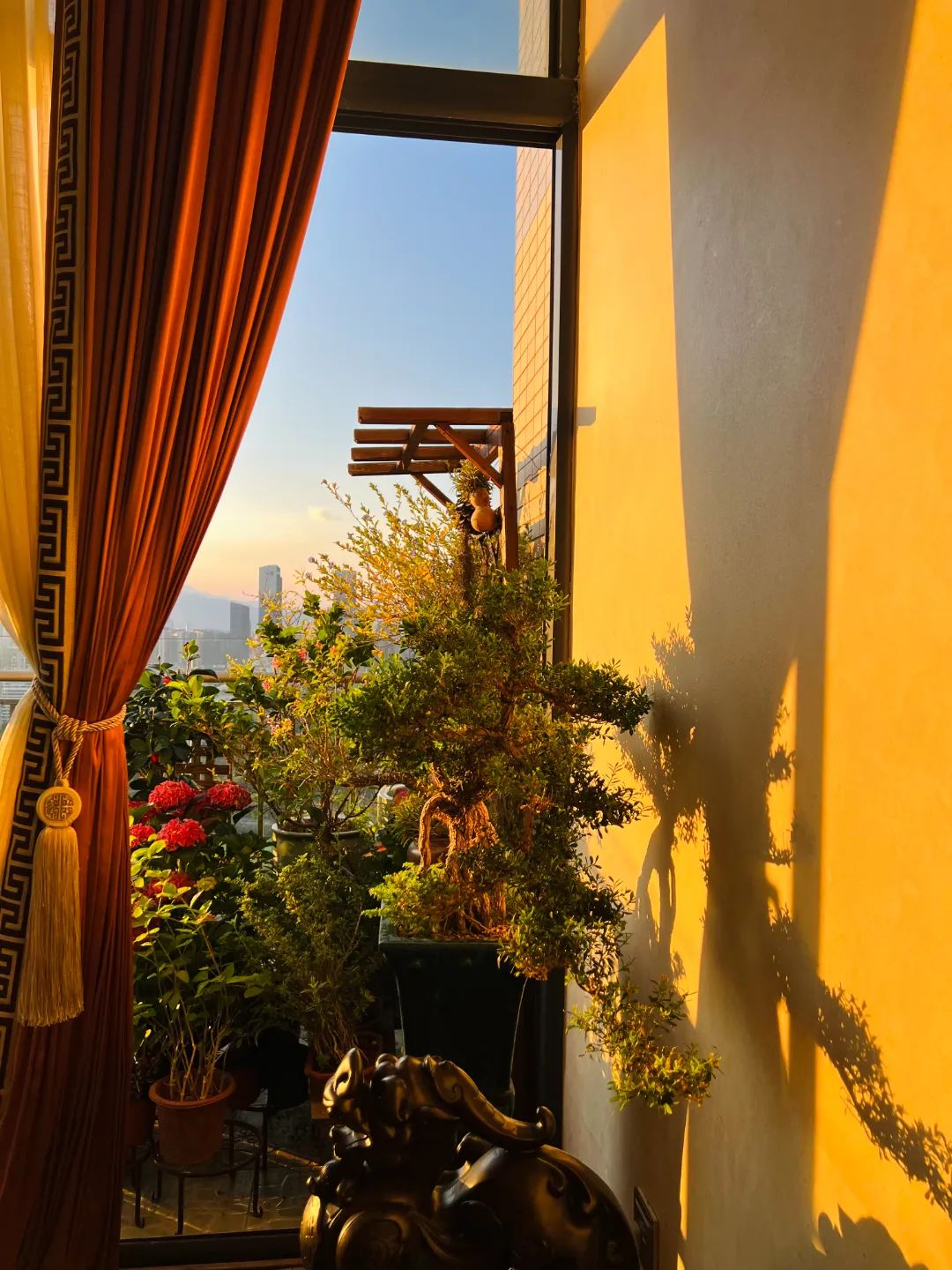 很多人羡慕的阳台,让别人羡慕的阳台