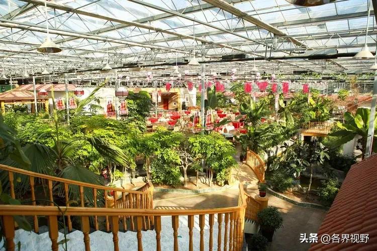 榆林生态旅游,榆林市牛家梁瑞丰生态园游泳池