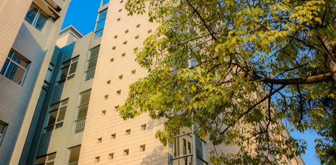 广东双一流专科院校排名,广东大专院校排名及分数线