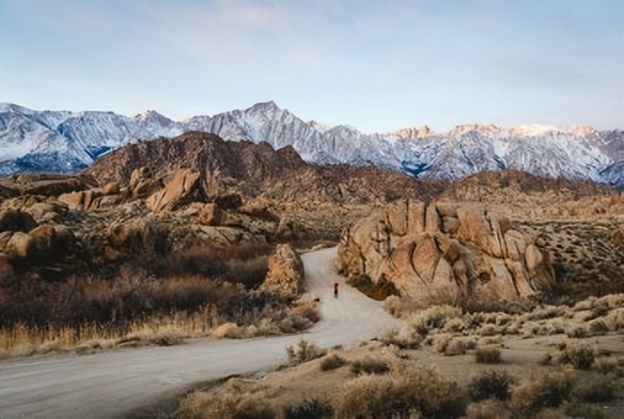 平安保险退保去哪退保,买了人寿保险怎么退保