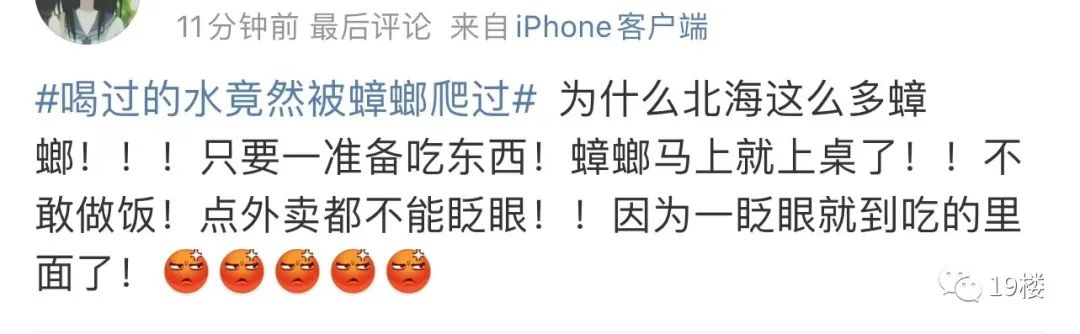 过敏原检测为蟑螂,过敏源是蟑螂过敏怎么办