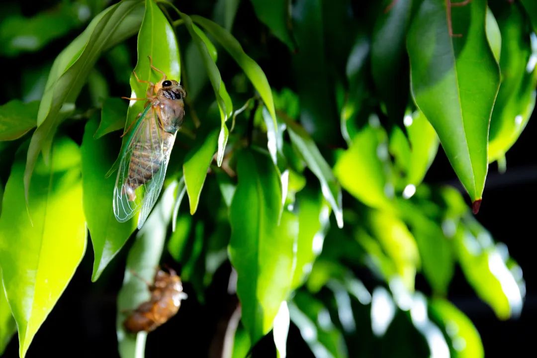 刚刚，青岛5万多勇士霸气走进战场！少年，此去何求？夺盛名、拔头筹、争魁首、独占鳌头！