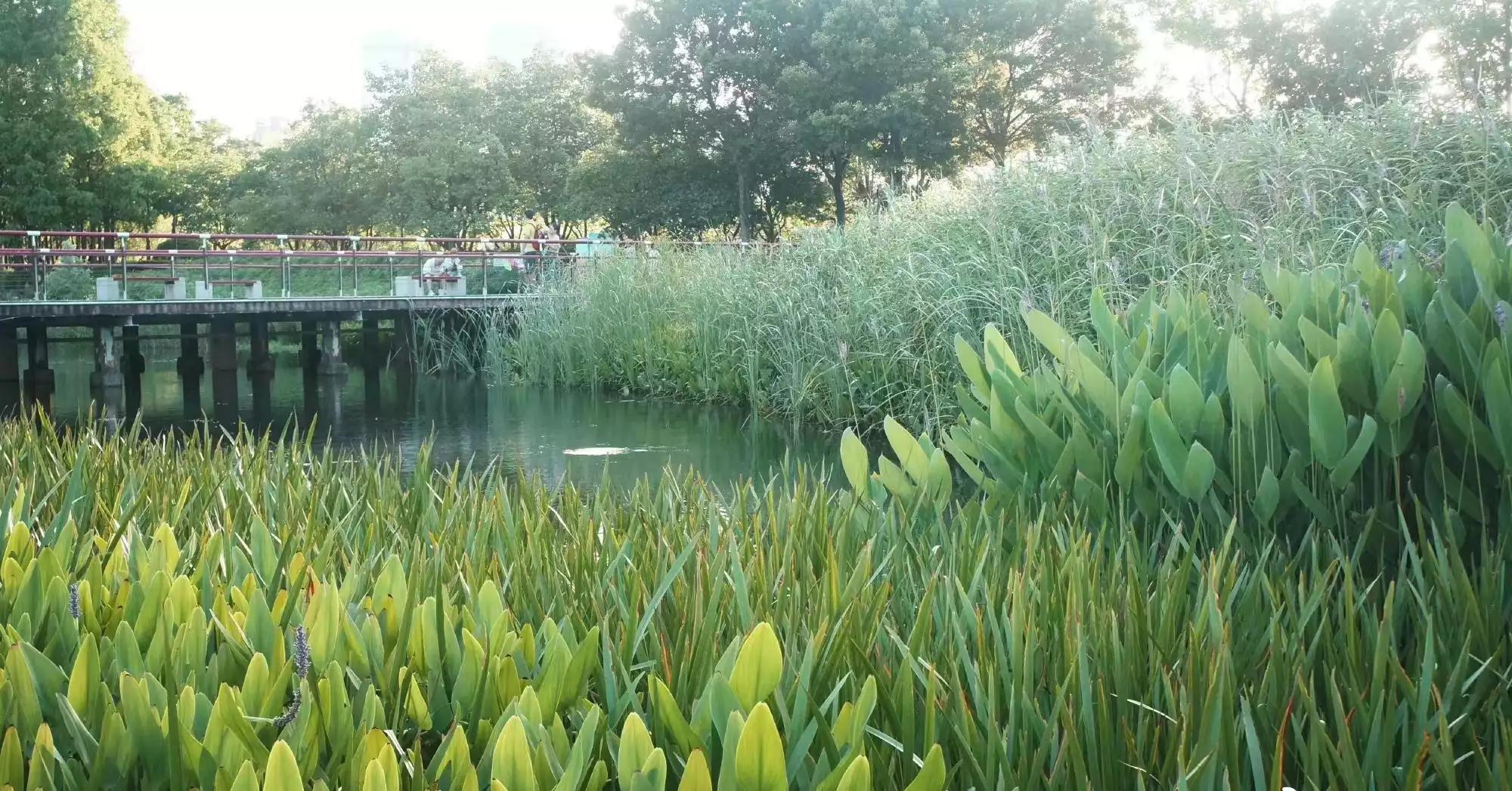 上海浦西滨江骑行攻略,上海休闲路线