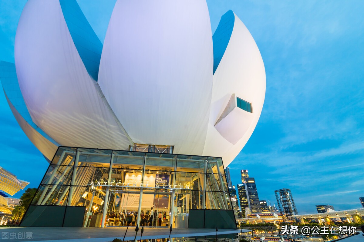 新加坡7个冷知识英文,世界上养猫最多的国家