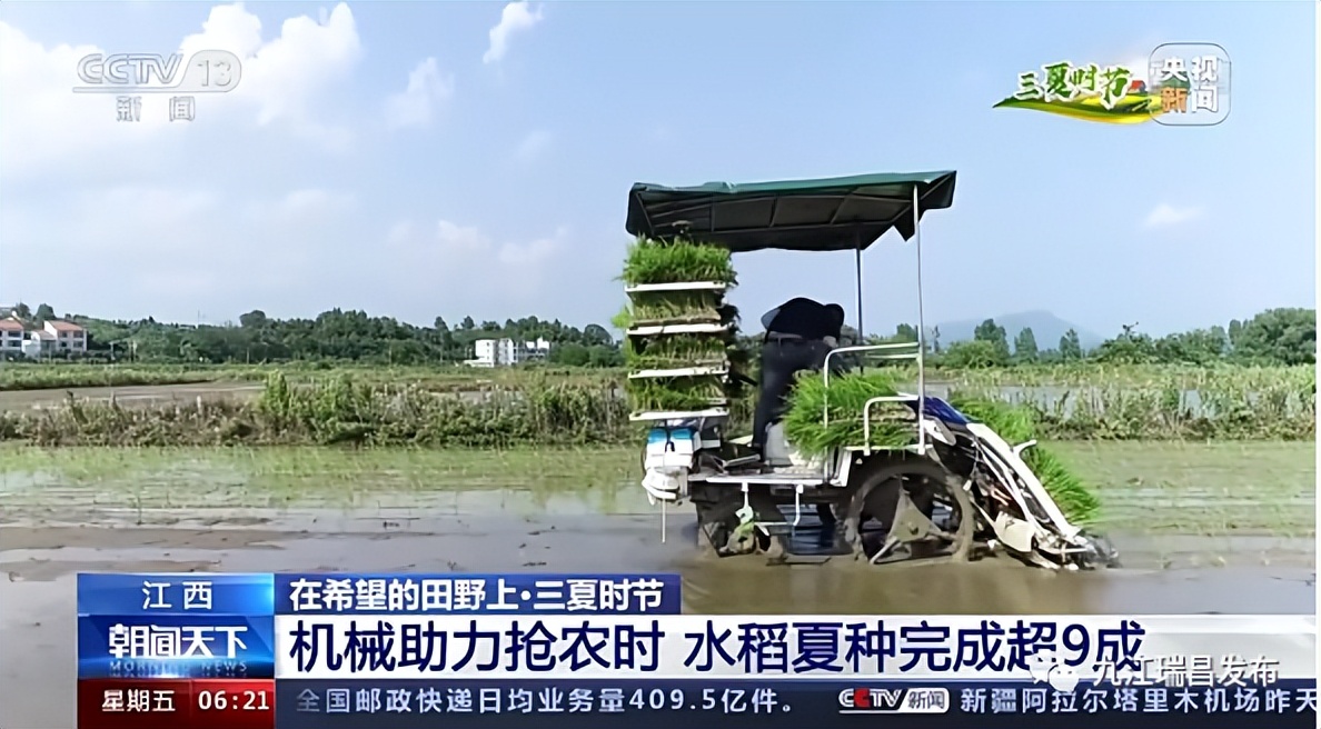 央媒看瑞昌丨一周内两次受央视关注!今日,央视《朝闻天下》和《新闻直播间》栏目关注我市智慧农业