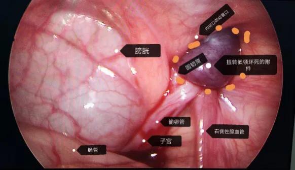 神秘之旅,神秘之旅视频