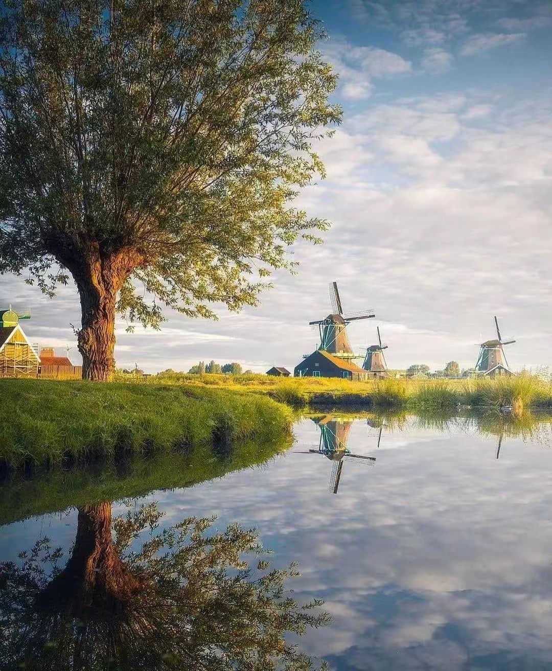 小娅个人资料80后,80后小娅