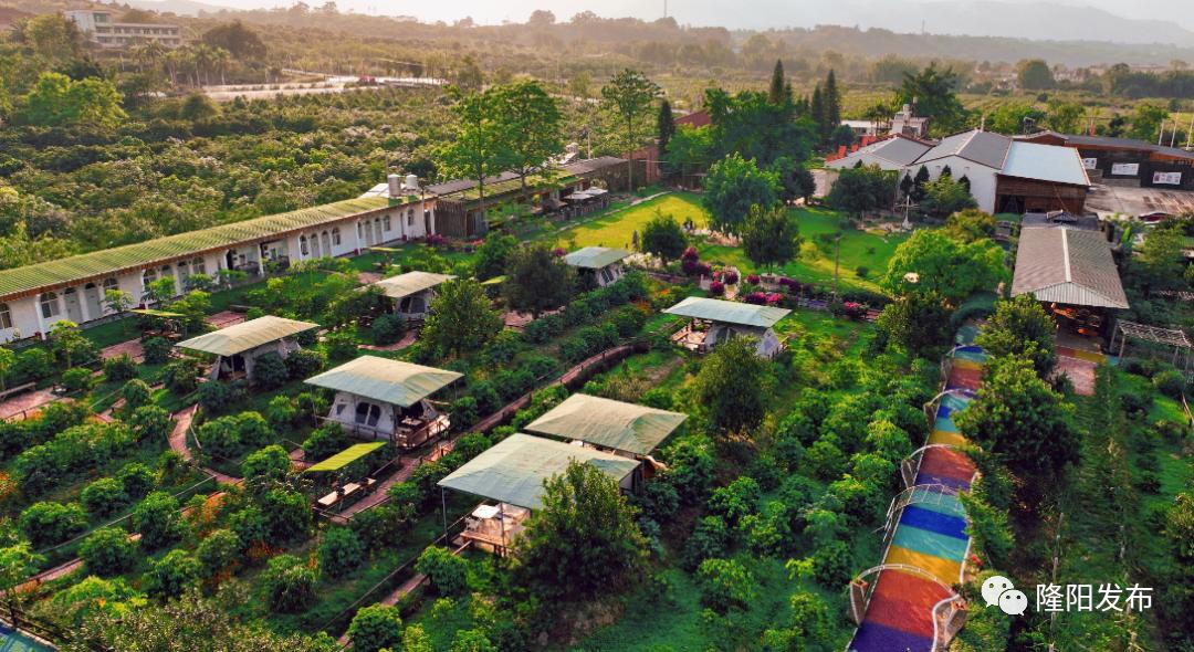 比顿咖啡园视频,潞江坝比顿咖啡产业文化园