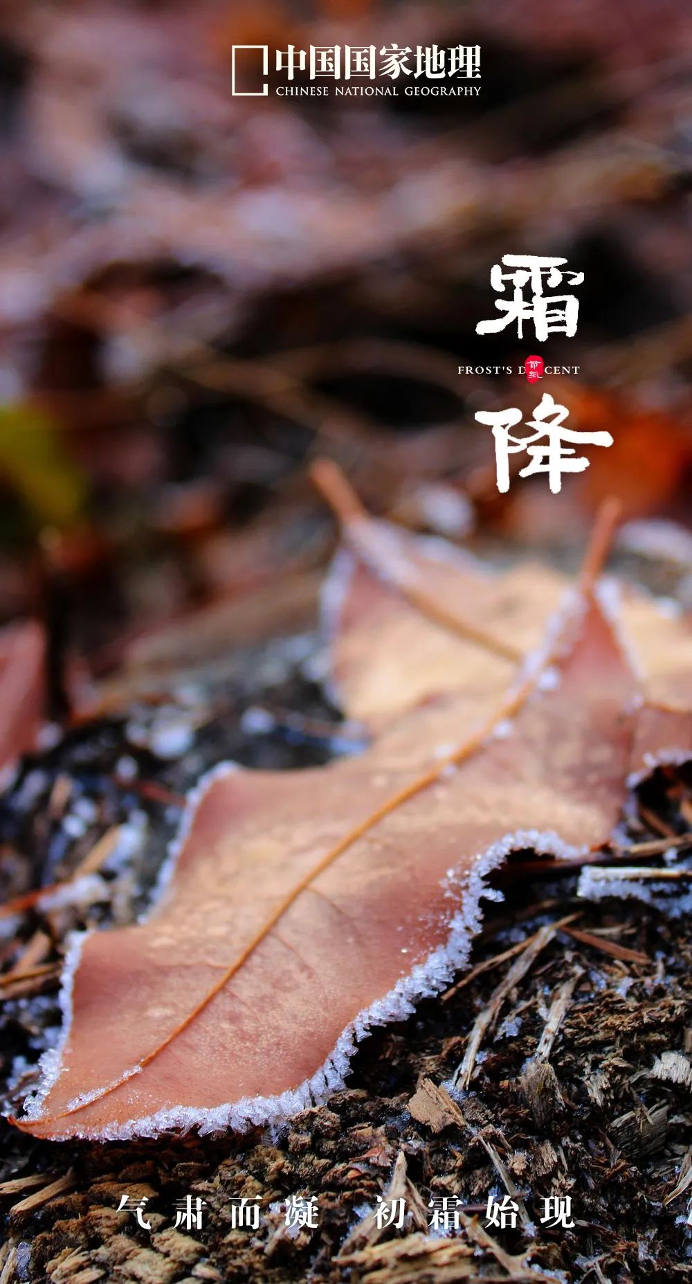 一年中最有智慧的节气图片,365天最美24节气图诞生惊艳国人