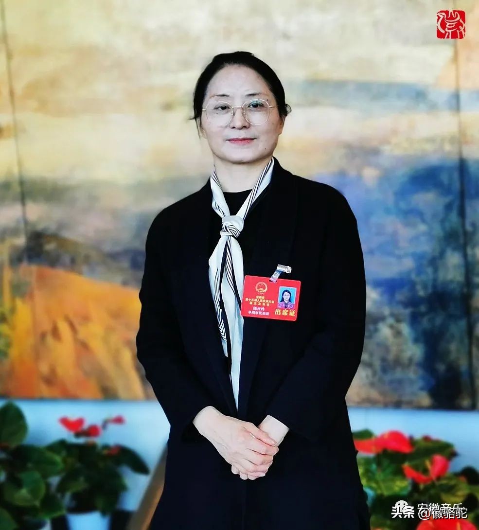 妈妈的槐花,妈妈的槐花歌曲