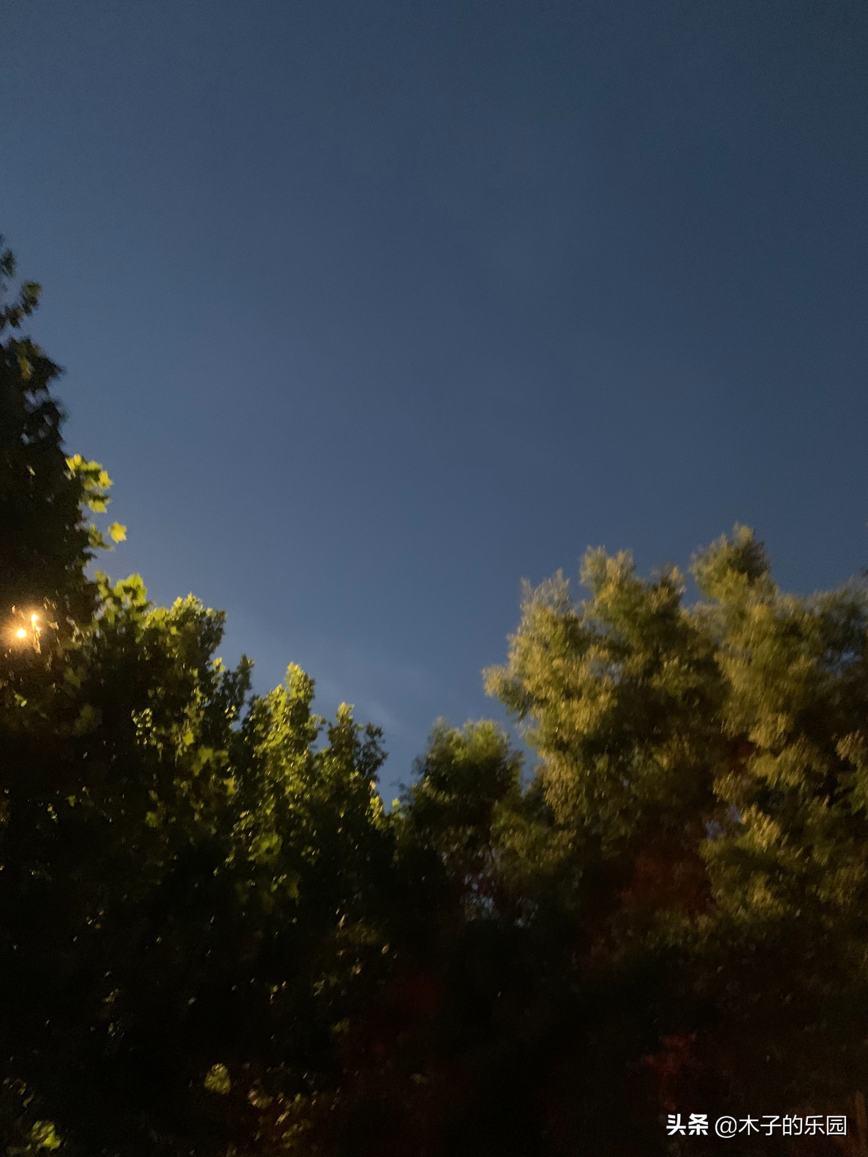 流动的广场,平静的广场