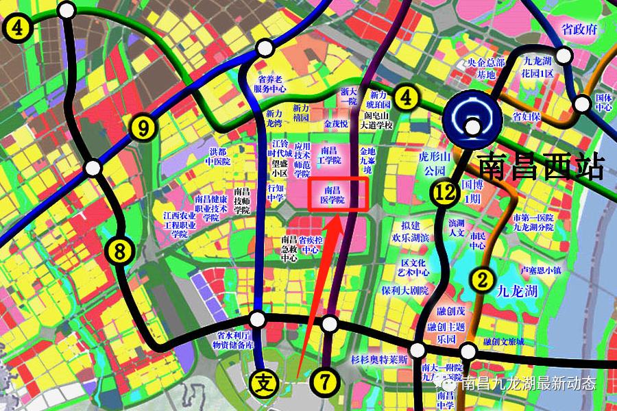 南昌九龙湖规划有多少小学,南昌九龙湖学校什么时候建
