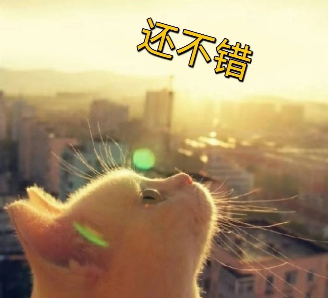 软件测试工程师转行自动化,英语老师转行做软件测试工程师