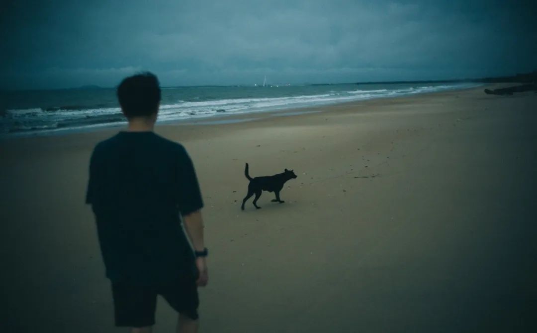 基诺乐队谢欣：以热爱来抵岁月的漫长#麻乐音乐专访