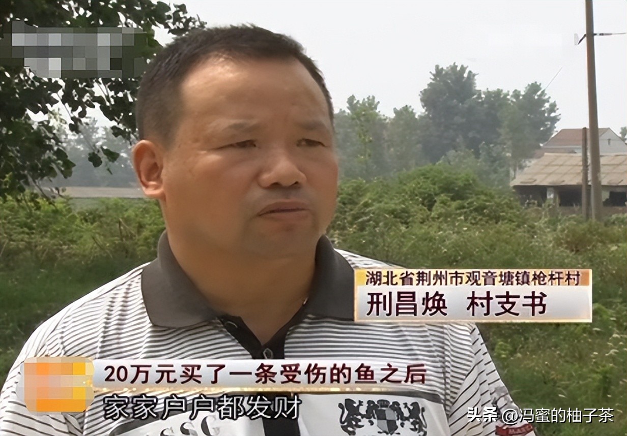 男子花13万买的鱼因停电缺氧死亡,男子花20万买一条受伤鲶鱼后续