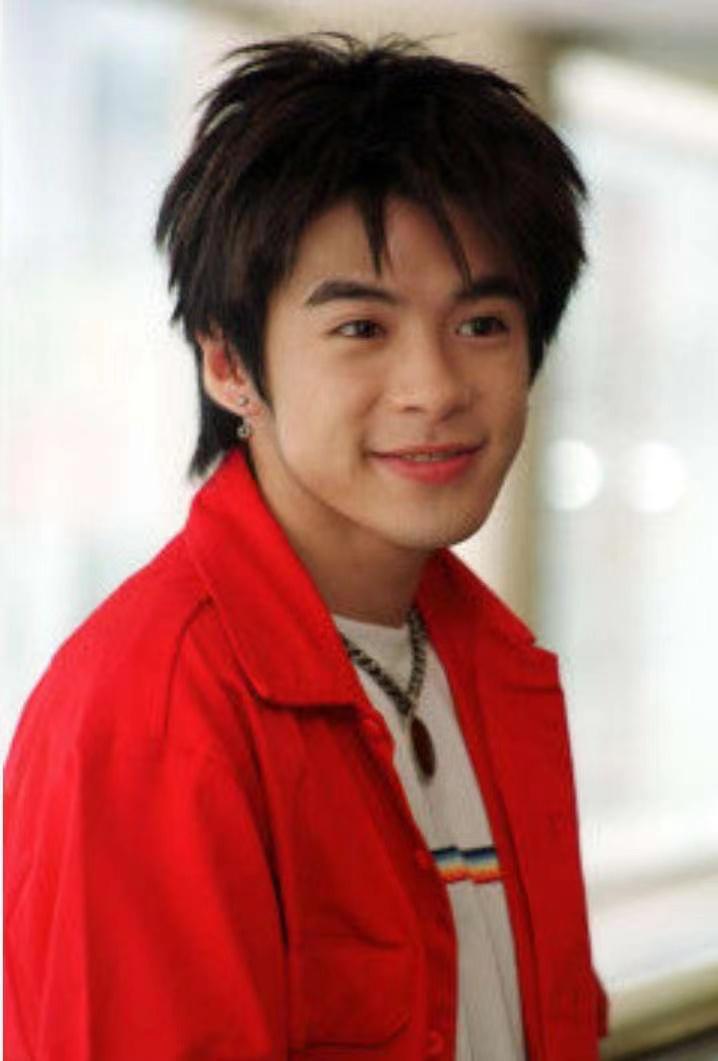 王心凌22年爆火后开了多少演唱会,王心凌是什么时候再次火起来的