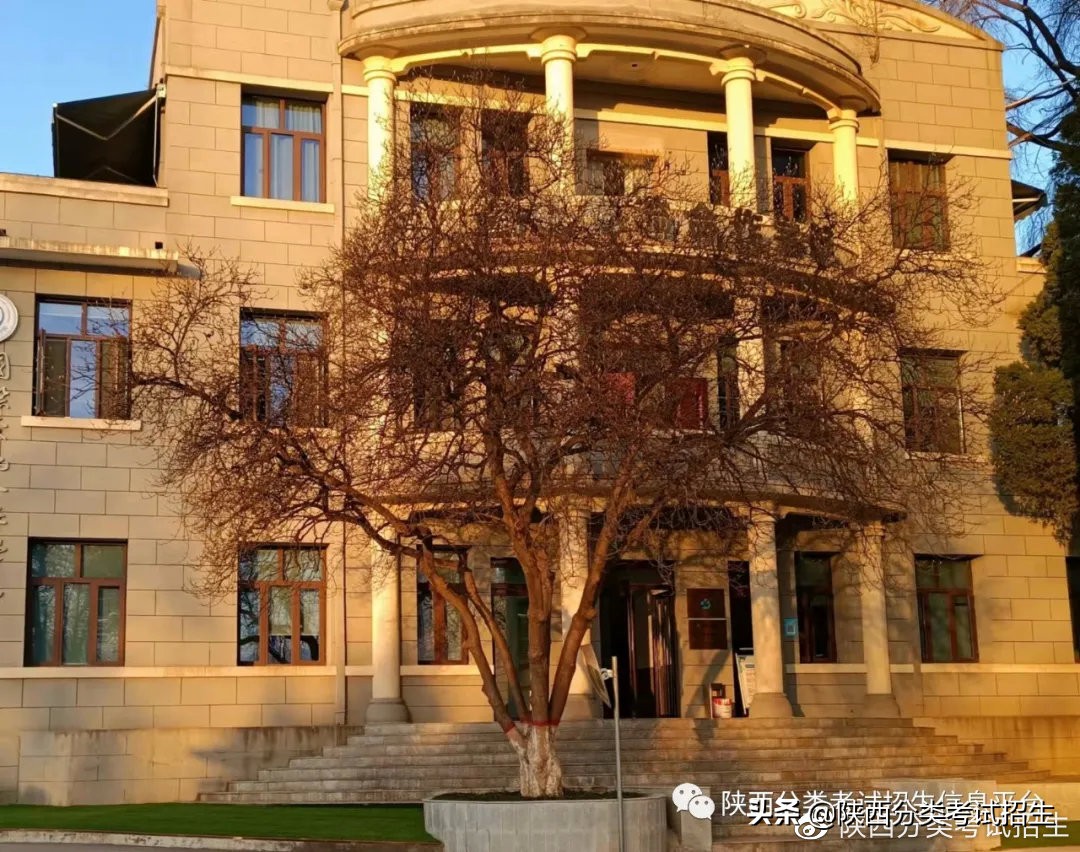 陕西职业技术学院是双高计划吗,双高专科学校陕西工商职业学院