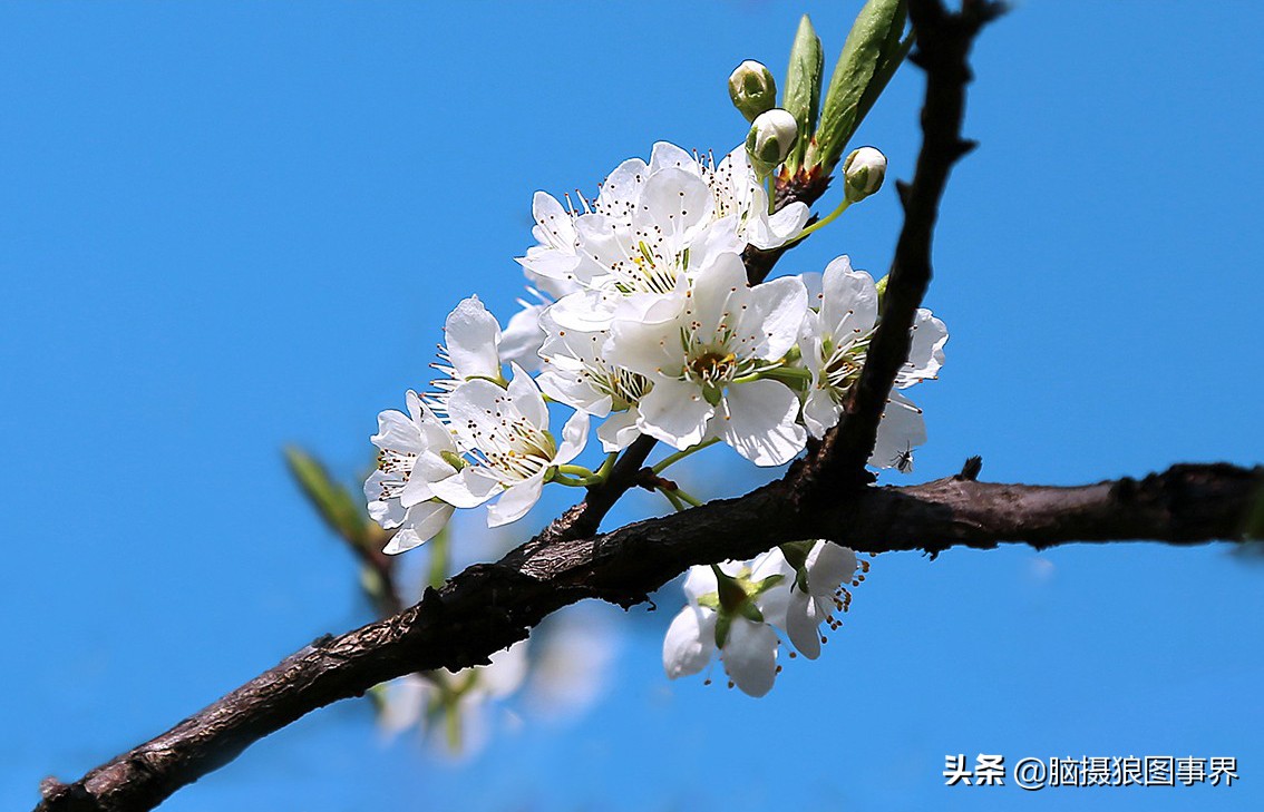 拍照如何确保对焦准确,拍照时对焦很难对上