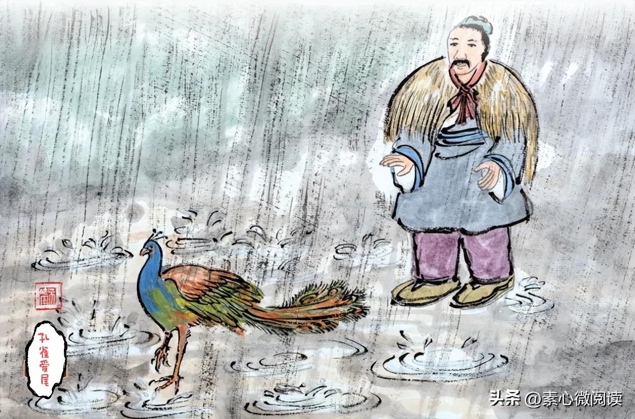 孔雀惜尾小故事大全,孔雀爱尾的寓言故事