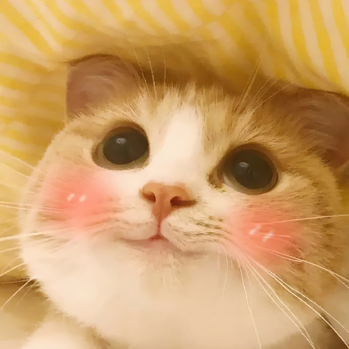 宠物疫苗知识大全图片,宠物疫苗科普