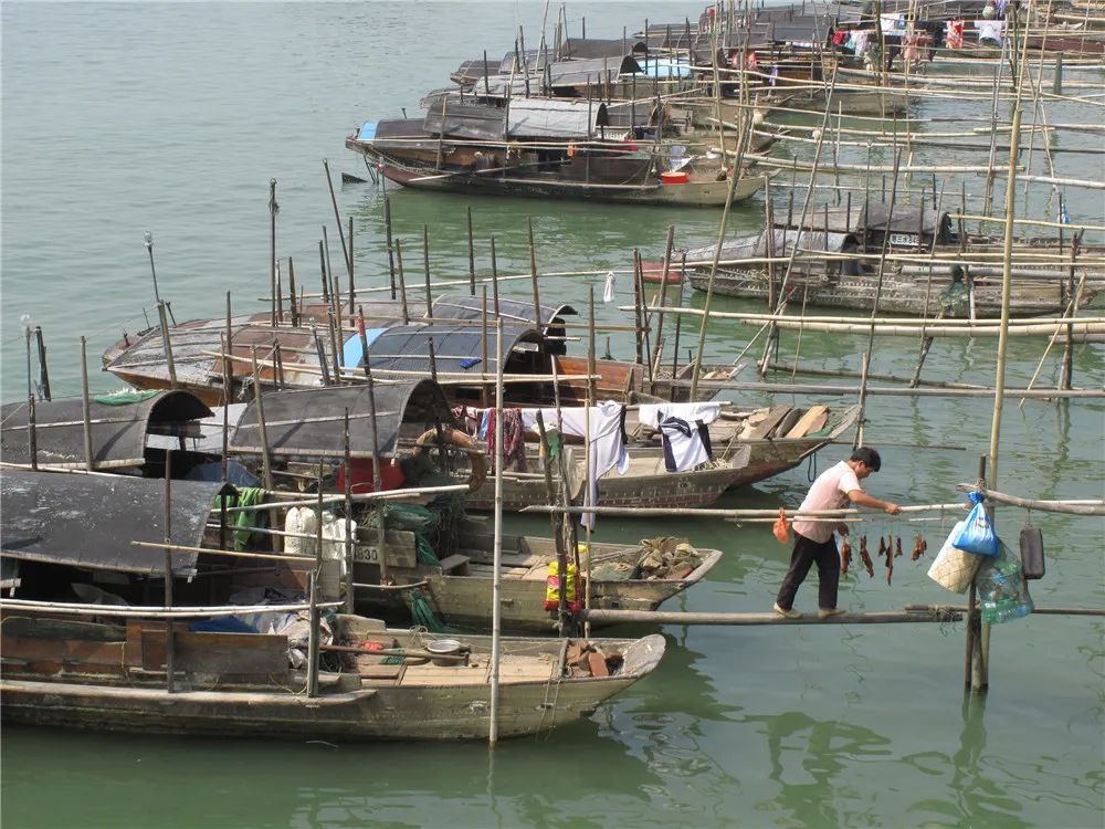 津门网郭冀华：水上古村落——大塘渔村