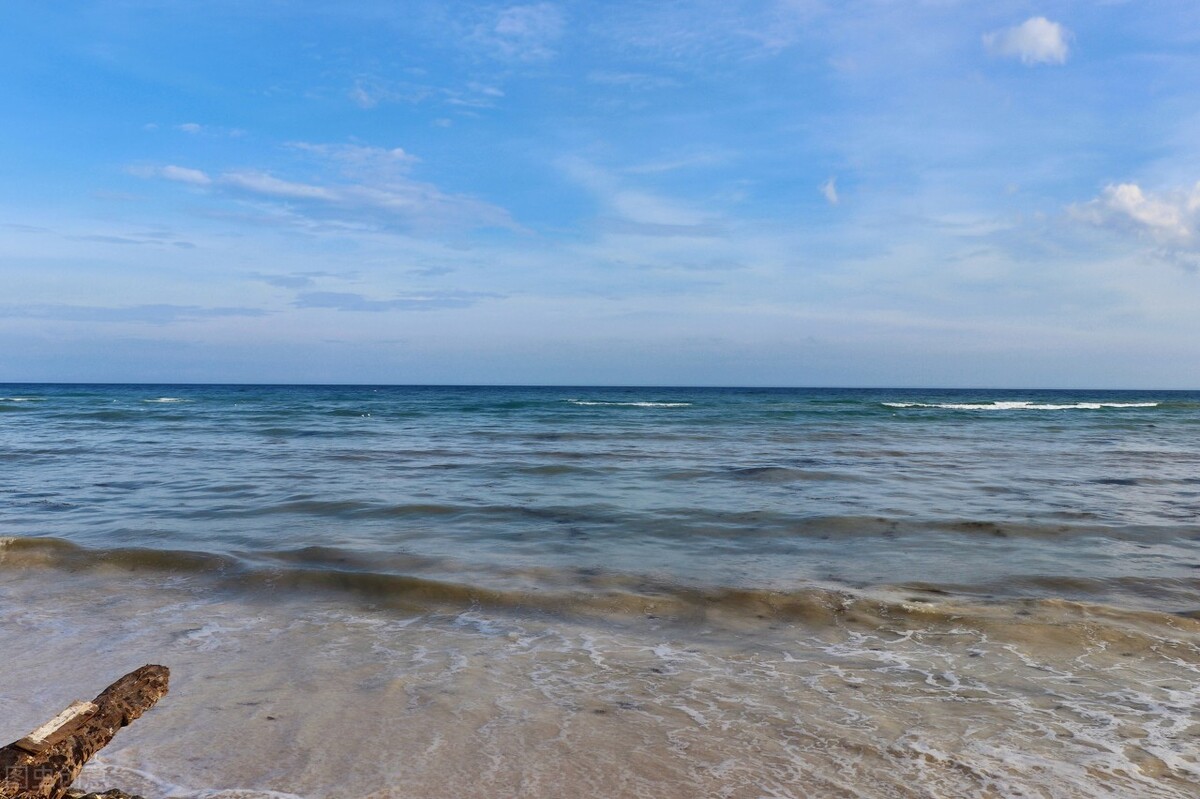 理想的生活在线观看完整版,理想的生活