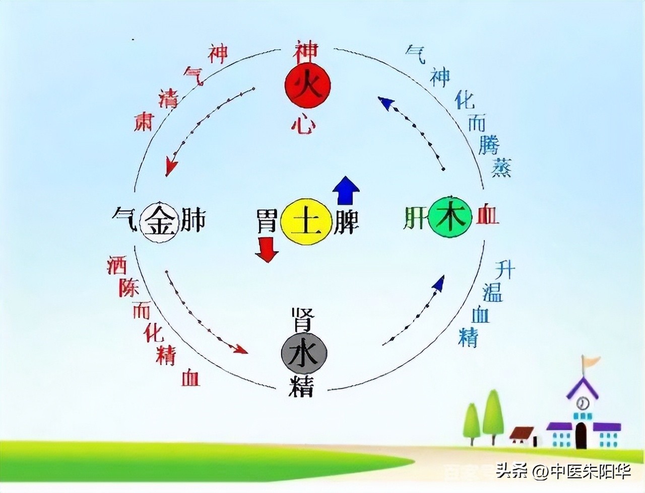 是先活血化瘀还是先健脾祛湿,活血化瘀先治脾