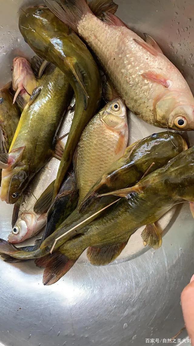 高考前补脑增强记忆力,高考学生吃什么保健品增强记忆力