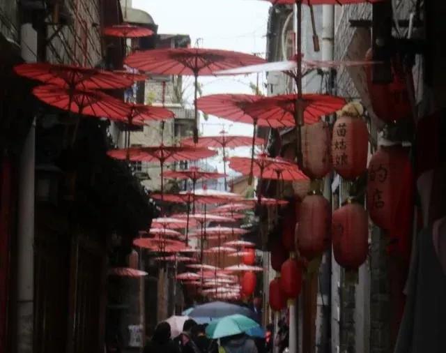 油桐：人间“五月雪”，抗日英雄今记否？