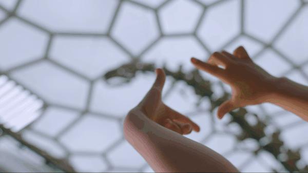 重庆自然资源科普馆要门票不,重庆自然资源科普馆一共几个馆