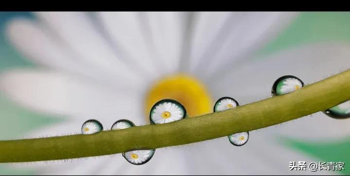 华为折叠屏新机matexs2发布会,华为折叠屏手机matexs2折叠测试