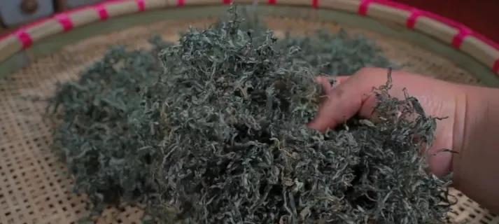 艾叶和麻糖一起蒸来吃有什么好处,蒸艾叶和姜蒸多长时间