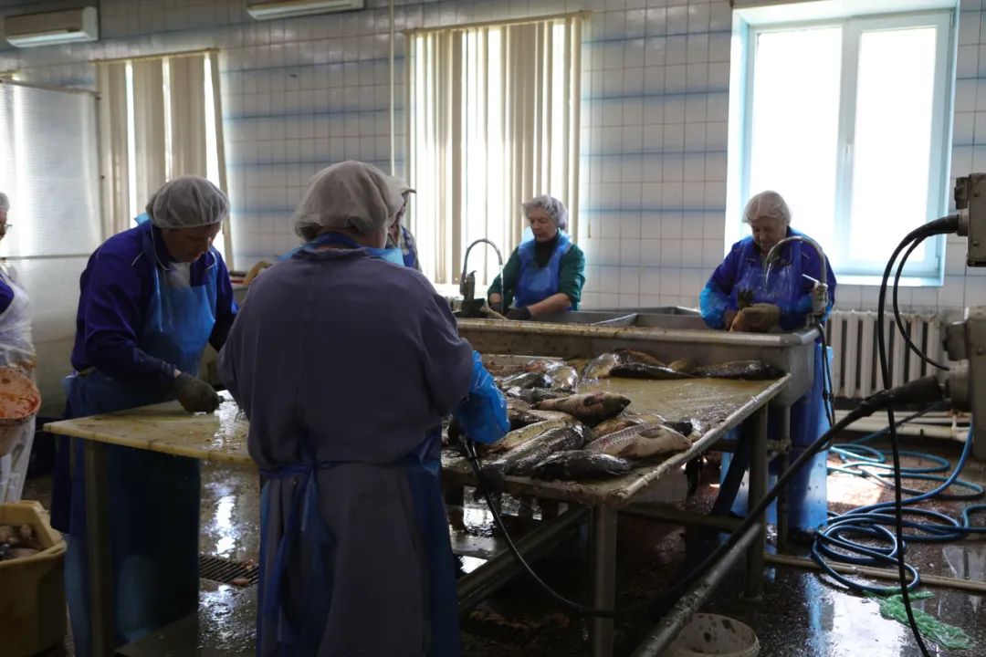 俄罗斯远东地区水产,俄罗斯远东水产加工厂