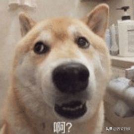 微信怎么用一个手机号注册大小号,微信一手机号可注册两账号作用