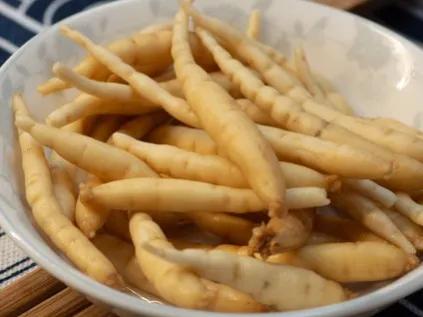 野生孩儿参,孩儿参品种