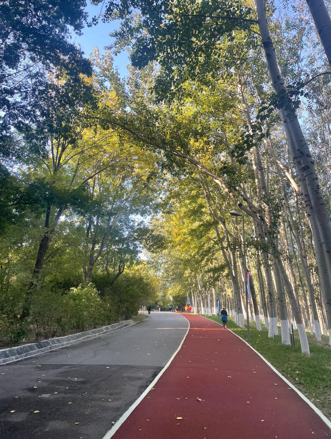 每小时800元学跑步，里程计入KPI，中年高管拼进马拉松