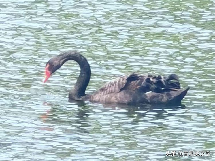 鏆槬闂叉儏璇楀彞,鏆槬鎯呰瘲