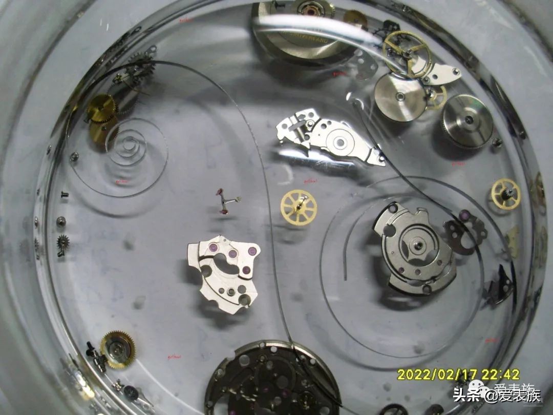 姊呰姳m905淇濆吇,姊呰姳2391鏈鸿姱