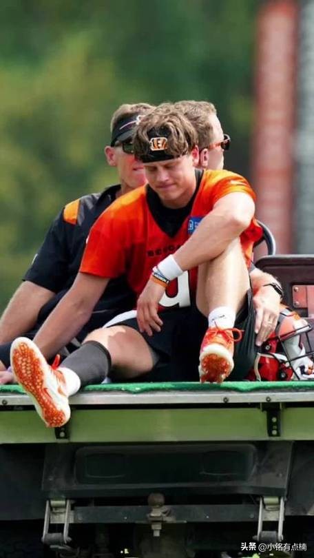 泰勒的传奇一生,泰勒的历程