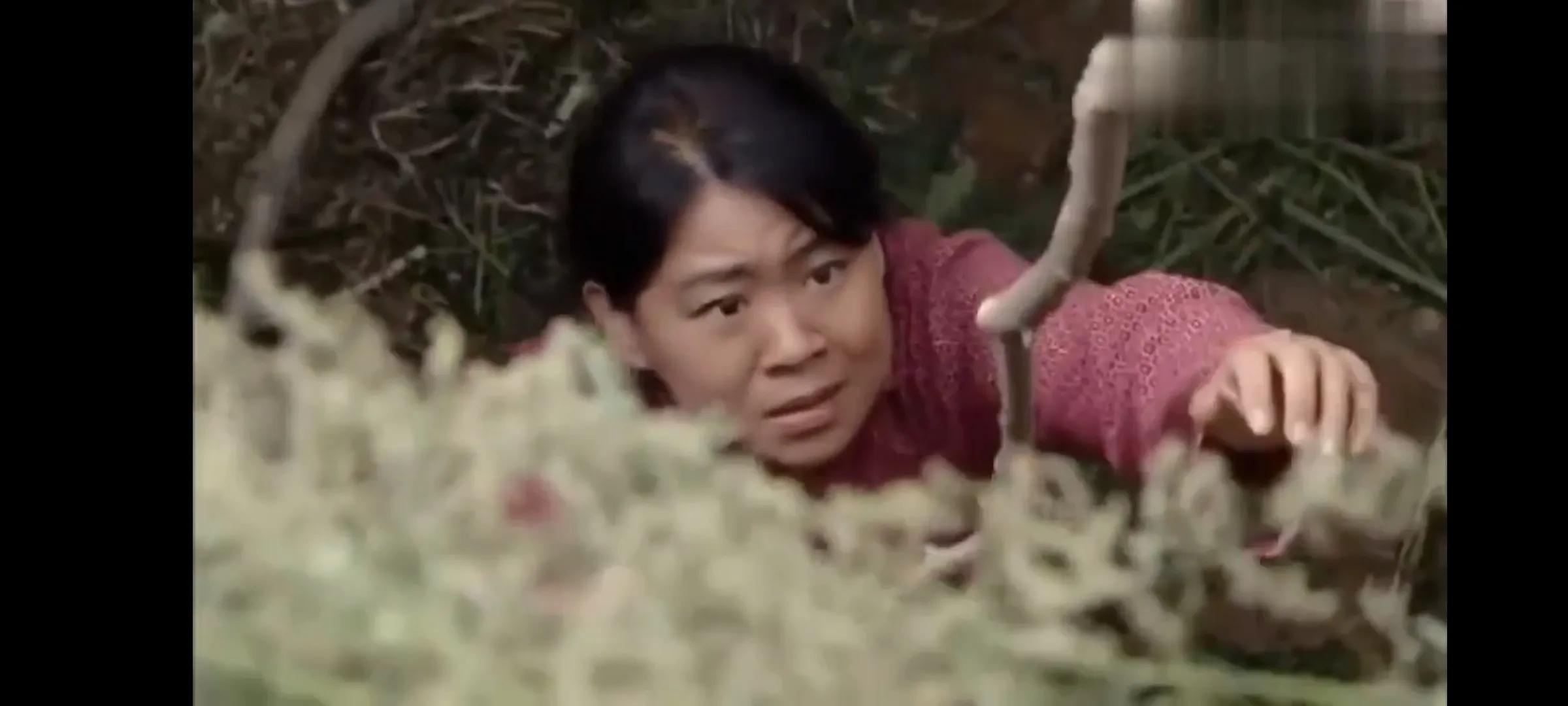 母爱有多伟大能让人起死回生,母爱很伟大吗