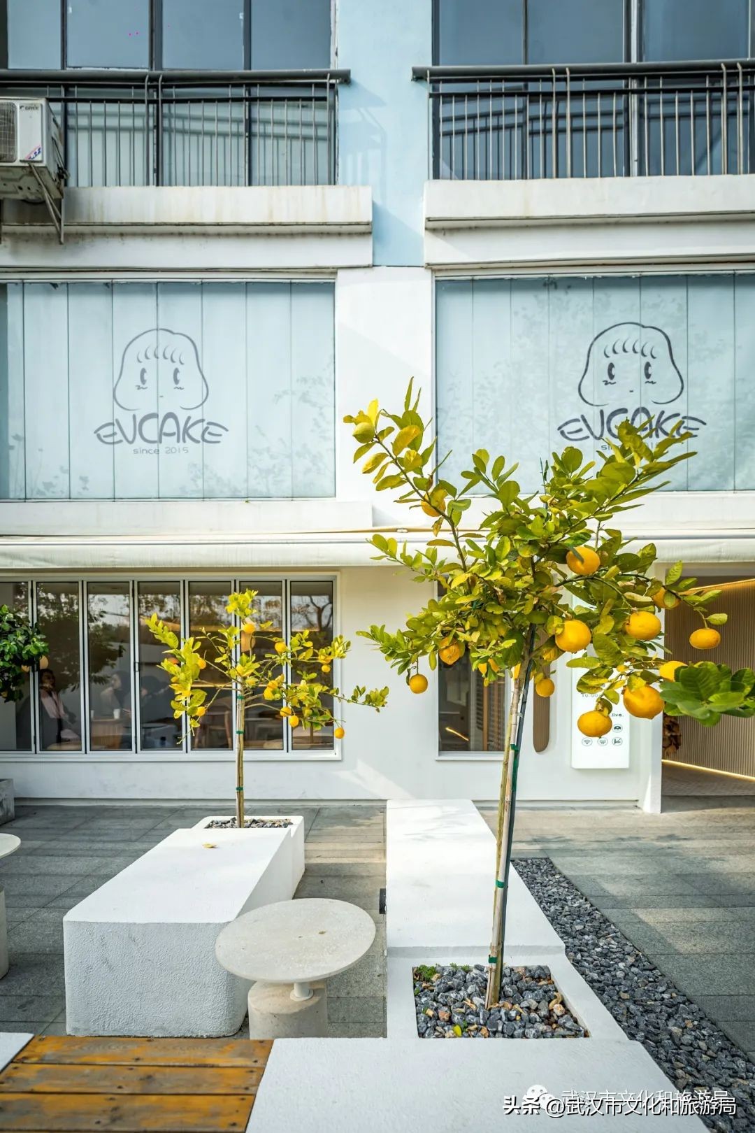 九月，秋风吹进武汉人的小院