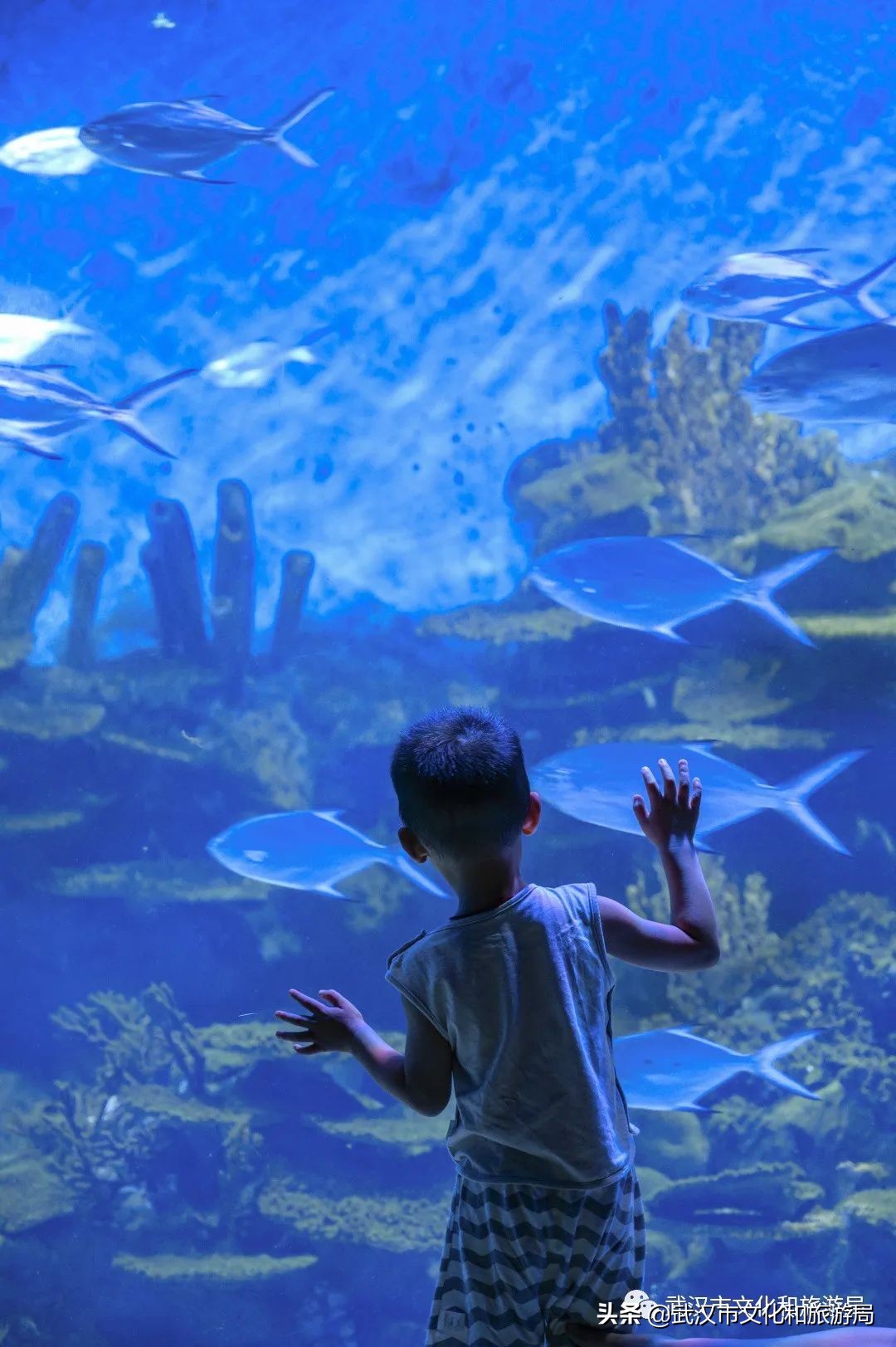 不出武汉旅游推荐,五一不出武汉三日游适合去哪里