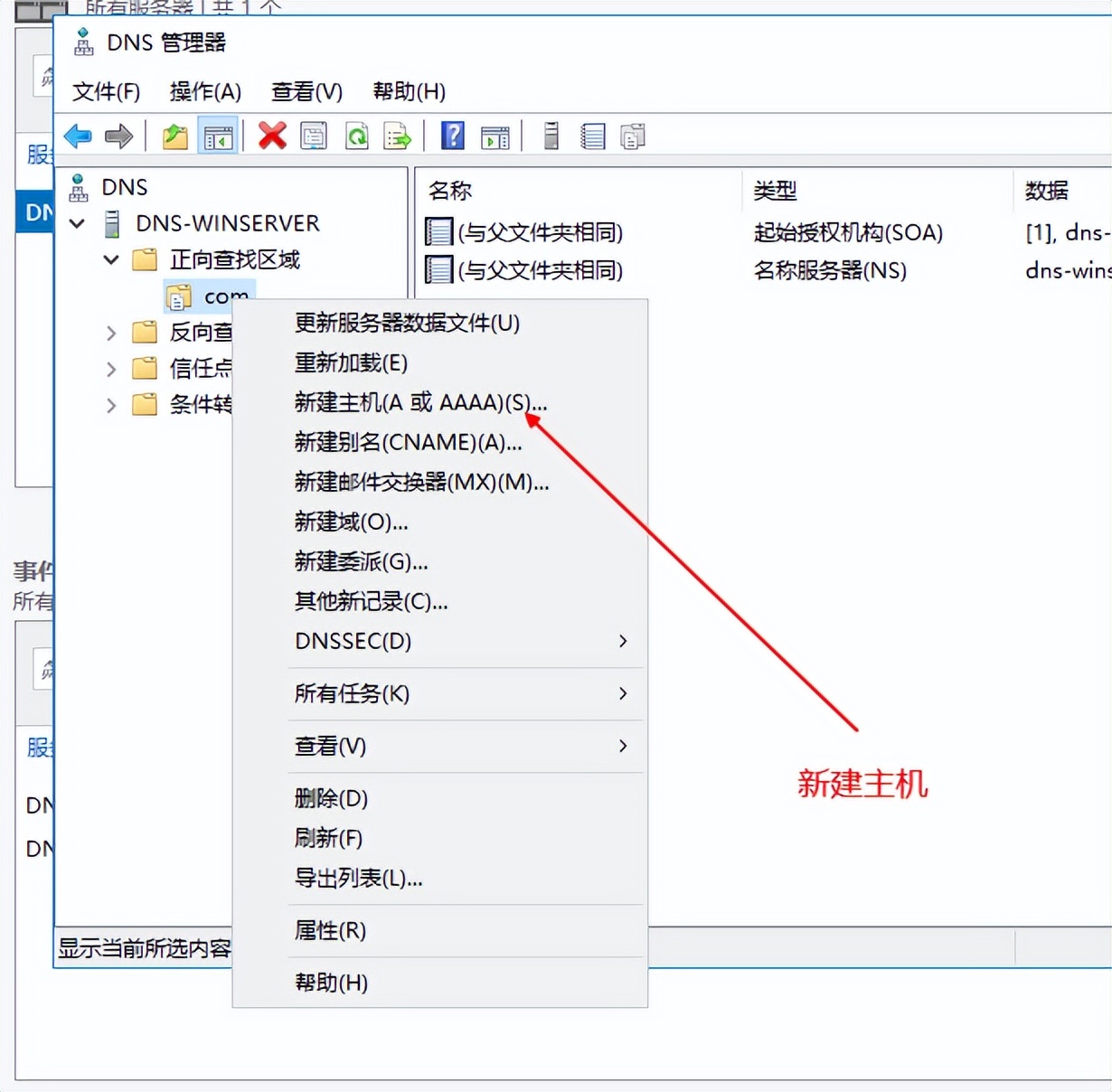 windowsserver2012dns服务器搭建,windows平台搭建dns服务器
