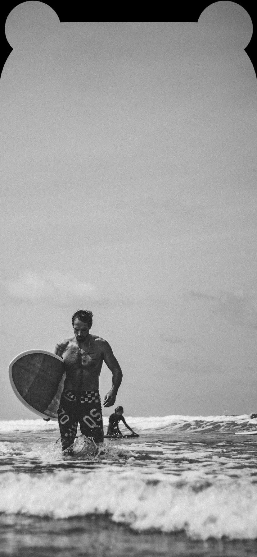 足球狗头壁纸大全,兔耳壁纸高清