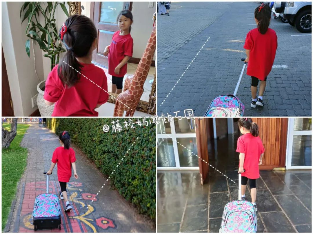 护眼菜常吃保护眼睛,护眼的蔬菜与食物